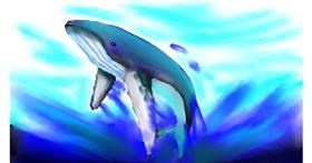 Drawing of Whale by Fernando