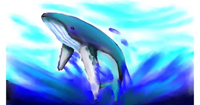 Drawing of Whale by Fernando