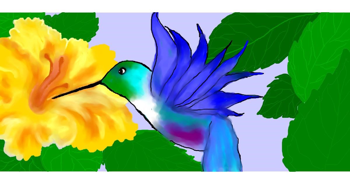 Drawing of Hummingbird by Debidolittle