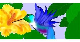 Drawing of Hummingbird by Debidolittle