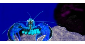 Drawing of Lobster by Çhåching