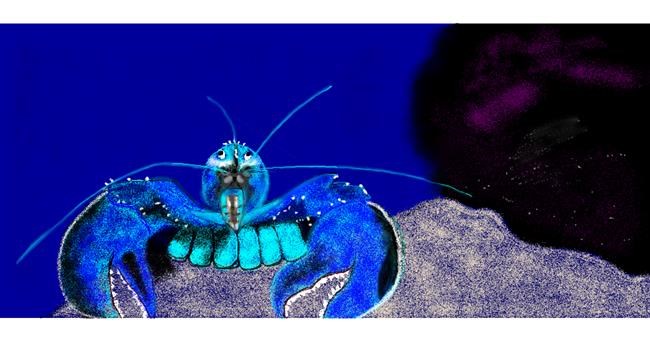 Drawing of Lobster by Chaching