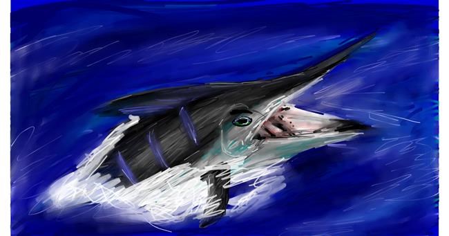 Drawing of Swordfish by Mia