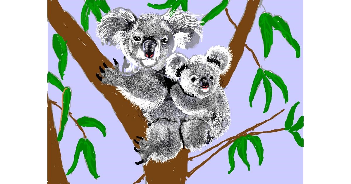 Drawing of Koala by SAM AKA MARGARET 🙄