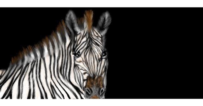 Drawing of Zebra by Chaching