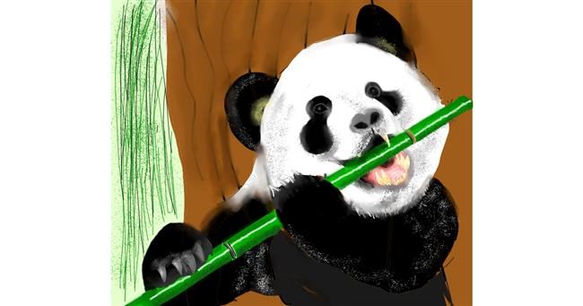 Drawing of Bamboo by Yashi 🐢