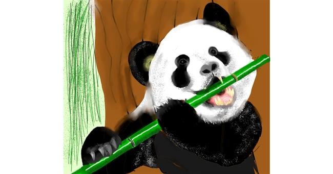 Drawing of Bamboo by Yashi 🐢