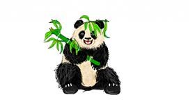Drawing of Bamboo by Lucy!