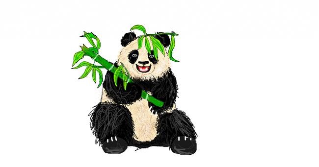 Drawing of Bamboo by Nicko