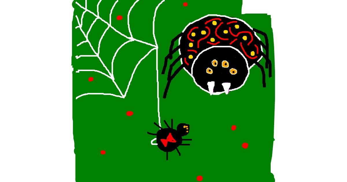 Drawing of Spider by Powersave Airlines
