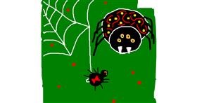 Drawing of Spider by Powersave Airlines