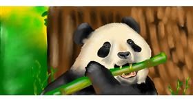 Panda-Zeichnung von Ani