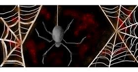 Drawing of Spider web by fay