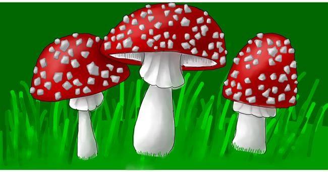 Drawing of Mushroom by shelby