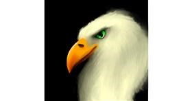 Drawing of Bird by MEOW