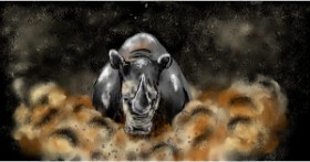 Drawing of Rhino by Eclat de Lune