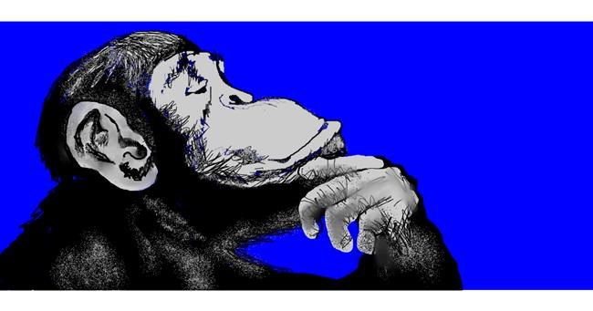 Drawing of Monkey by Debidolittle