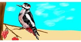 Drawing of Woodpecker by Shanthini
