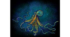 Drawing of Octopus by Tara