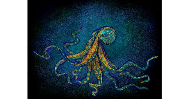 Drawing of Octopus by Tara