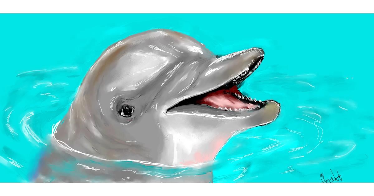 Drawing of Dolphin by Una persona