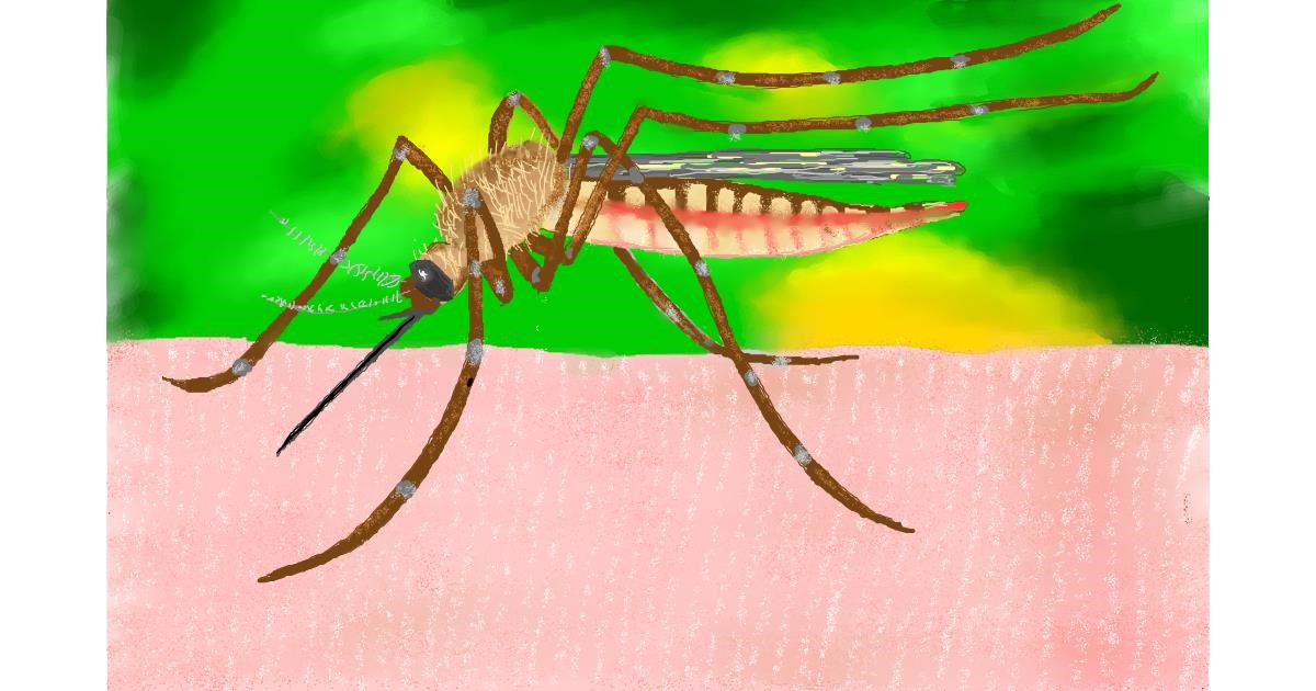 Drawing of Mosquito by GJP