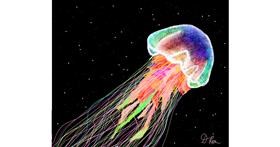 Drawing of Jellyfish by Darta