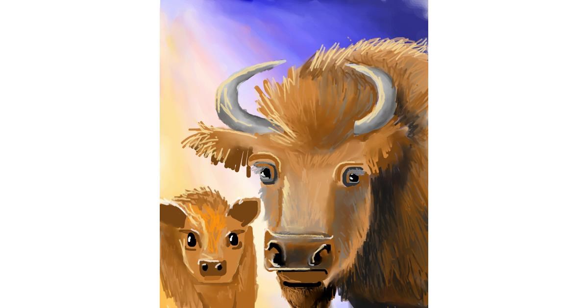 Watch Lovecatx Gbsct Draw Bison