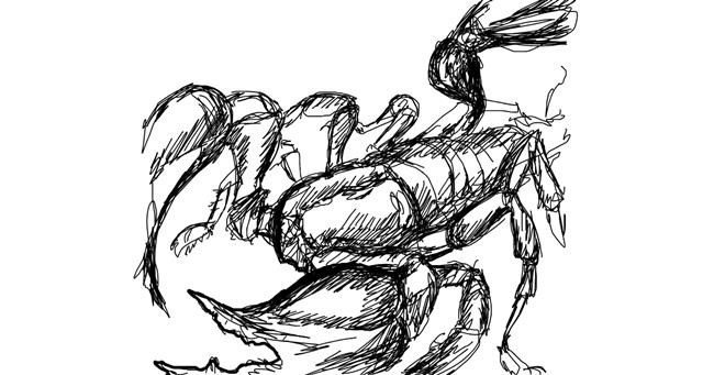 Drawing of Scorpion by Annyeo