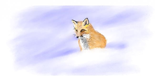 Fuchs-Zeichnung von Chaching