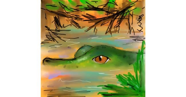 Drawing of Alligator by Sufi