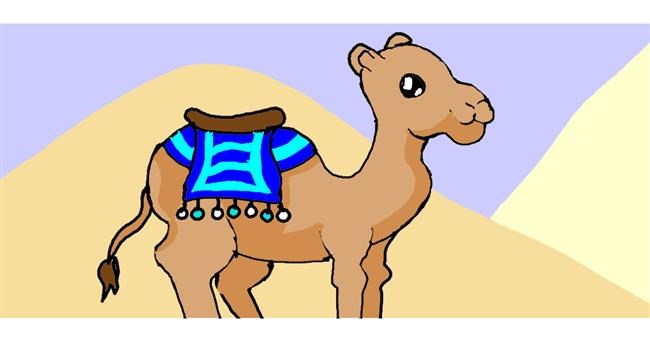 Drawing of Camel by Rain