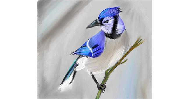 Vogel-Zeichnung von Lou