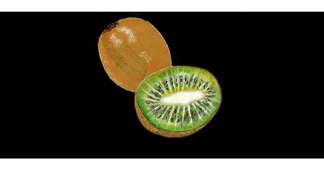 Drawing of Kiwi fruit by Chaching