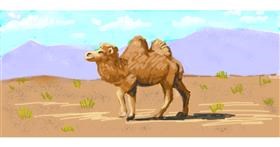 Drawing of Camel by shiNIN