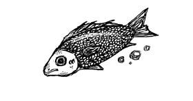 Drawing of Fish by HAHAH