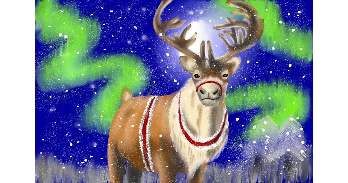 Drawing of Reindeer by Wizard