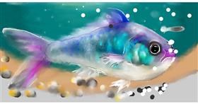 Drawing of Fish by Mandy Boggs