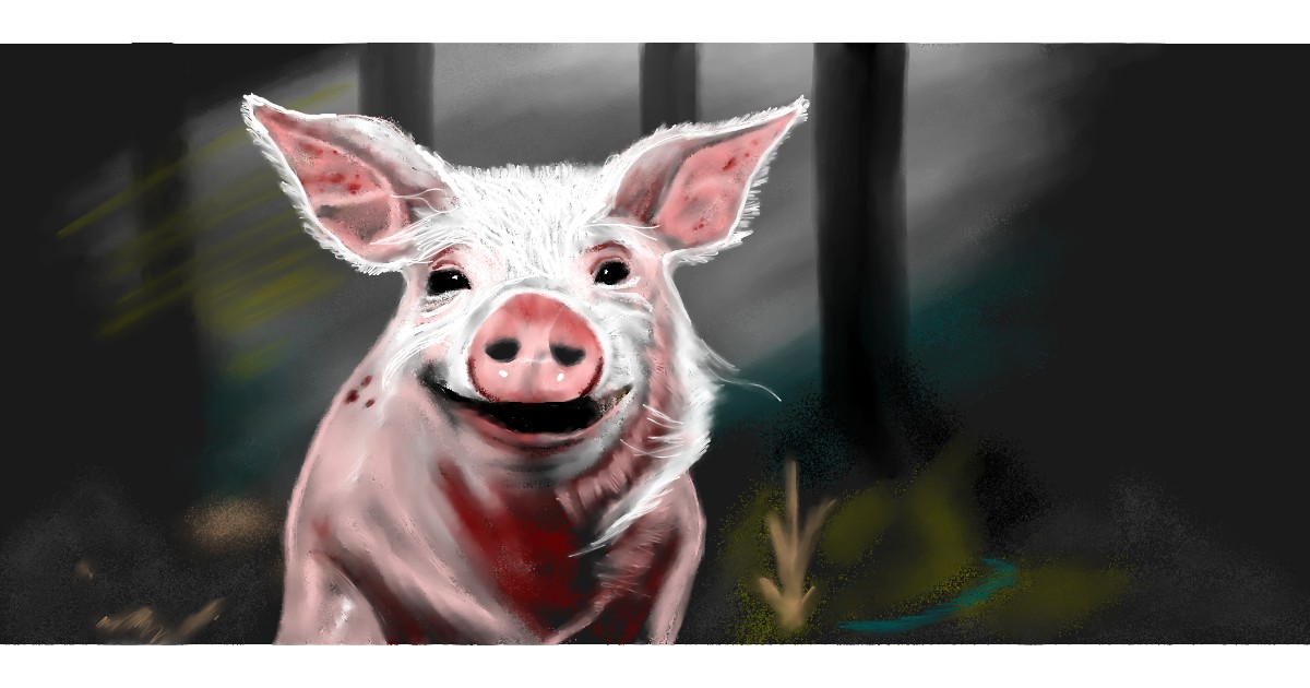 Pig Drawing - Gallery and How to Draw Videos!