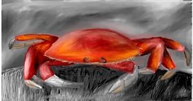 Drawing of Crab by Mia