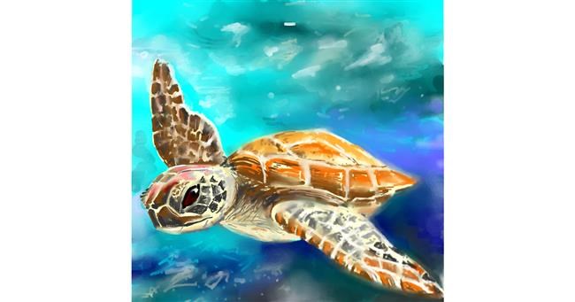 Drawing of Sea turtle by ⋆su⋆vinci彡