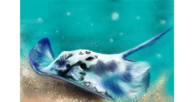 Drawing of Stingray by Wizard