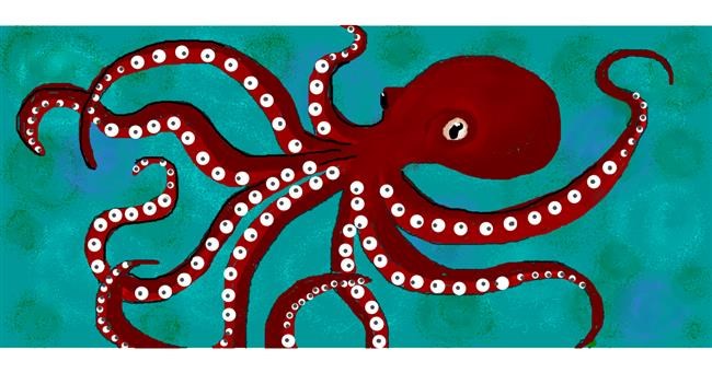 Drawing of Octopus by DebbyLee