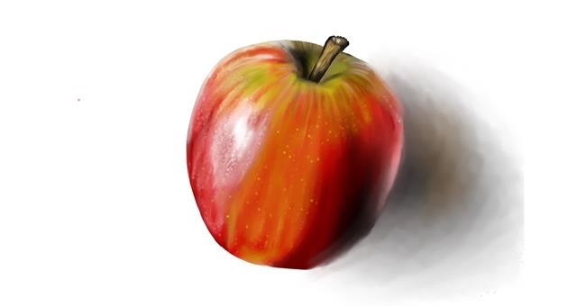 Drawing of Apple by Jan