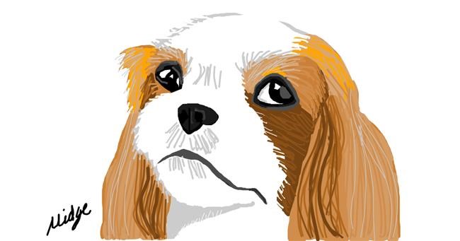 Hund-Zeichnung von The_World_of_Midge