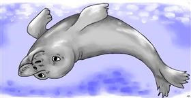 Drawing of Seal by Swimmer 