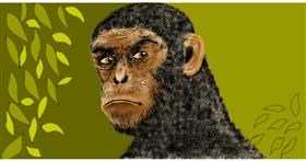 Majmun - autor: Eclat de Lune