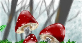 Gljiva - autor: Eclat de Lune