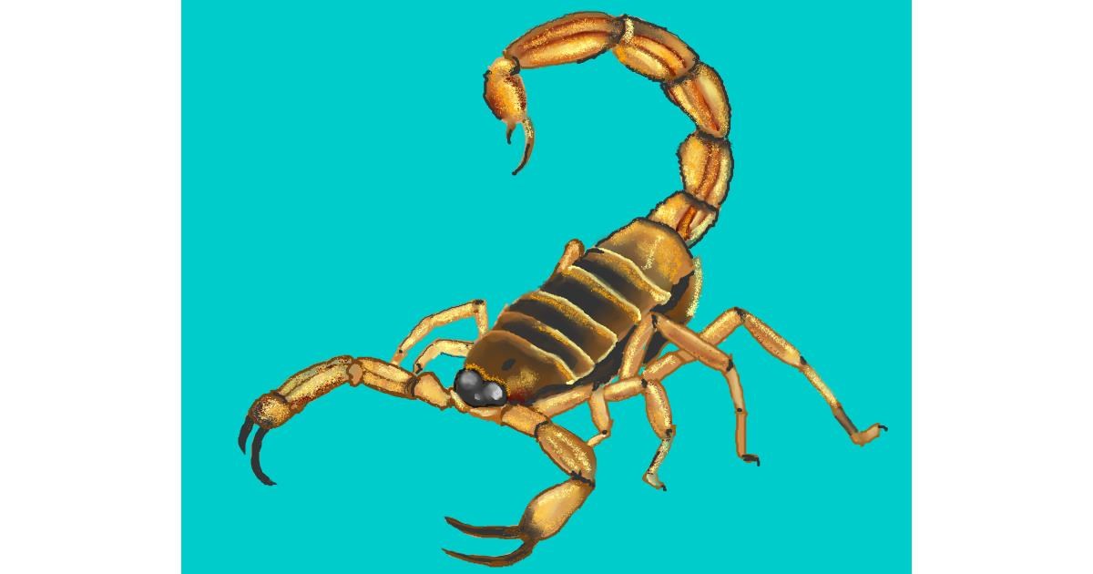 Drawing of Scorpion by Cec