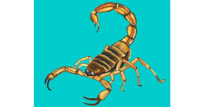 Drawing of Scorpion by Cec